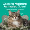 thumbnail image 2 of Arena sanitaria para gatos Boxiecat, arcilla suavemente perfumada, 12,5 kg, 2 of 6