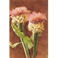 thumbnail image 2 of Sargent, John Singer 23x32 White Modern Wood Framed Museum Art Print Titled - Thistle, 2 of 4