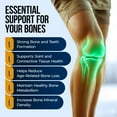 thumbnail image 6 of Bone Builder Joint Supplements for Women - Increased Bone Health Plus New Growth - Fights Osteoporosis - Bone Strength Formula - Organic Bone Care for Max Raw Absorption Boost - Feel New Life & Alive, 6 of 9