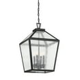 thumbnail image 3 of Woodstock 4-Light Outdoor Hanging Lantern in Black, 3 of 6