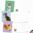 thumbnail image 4 of 20 All Occasion Blank Note Cards Pack (10 Designs, 2 Each) - Masked Cats All Occasions (4" x 5.12") AM9261OCB-B2x10, 4 of 6