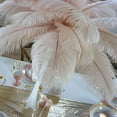 thumbnail image 3 of ZUCKER® 24pcs 13-16" Ostrich Feather Centerpiece Set - 24" Eiffel Tower Vase Wedding Decorations White and Champagne (Light Pink), 3 of 3