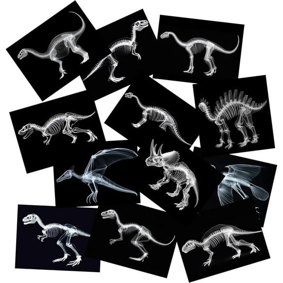 Dinosaurs X-Ray Set, Educational Science Kit, Light Table Accessory for kids 12 year  