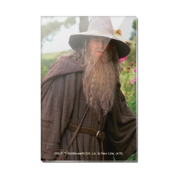 The Lord of the Rings Gandalf the Grey Character Rectangle Acrylic Fridge Refrigerator Magnet