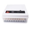 thumbnail image 1 of Chick Incubator, Intelligent Chick Incubator Automatic Egg Turner  for Chick Rearing US Plug 110V,EU Plug 220V, 1 of 7