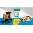thumbnail image 2 of Carbona Oxy-Powered Pet Stain & Odor Remover w/ Active Foam Technology  22 Fl Oz, 2 Pack, 2 of 6