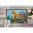 thumbnail image 2 of Carolines Treasures SS8660JMAT Tapis Intérieur Ou Extérieur 24 x 36 Po. Min Pin, 2 of 4