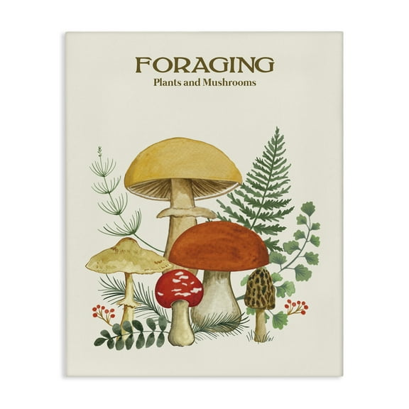 Stupell Industries Vintage Foraging Mushrooms Botanical & Floral Painting Gallery Wrapped Canvas Art Print Wall Art, 16 x 20