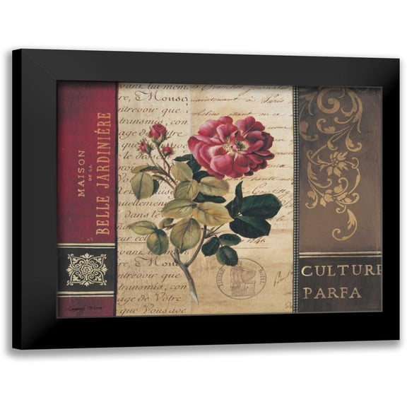 Poloson, Kimberly 14x12 Black Modern Framed Museum Art Print Titled - Belle Jardin II