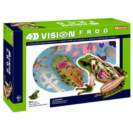 UPC: 4893409261044 | 4D Vision Frog Highly Detailed Science Model Kit
