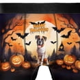 thumbnail image 4 of Mummy Boxer Happy Halloween with Pumpkins Bats Spooky Fun All Over Print Boxer Briefs Underwear for Men Dad Boxers Dog Lover Gifts Idea - 00019, 4 of 6