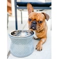 thumbnail image 4 of Pet Junkie Santa Fe Soporte Elevado Para Cuenco Para Mascotas Con Cuenco Interior Extraíble De Acero Inoxidable De 16 Oz Para Razas De Perros Pequeños O Gatos, Estación De Agua O Comida Para Perros El, 4 of 5