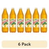 (6 pack) Peafiel Manzanita Mineral Spring Water, 20.3 Fl. Oz.