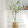 thumbnail image 5 of Nearly Natural 4ft. Minimalist Citrus Artificial Tree, Green, 5 of 7