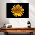 thumbnail image 2 of Elephant Stock Sunflower On Black Wall Art - Horizontal Canvas Wall Art - Living Room Wall Decor - Floral And Botanical Canvas - Black And Orange Decor - 24" x 16", 2 of 8