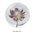 thumbnail image 3 of Destyer Decorative Dreamball With Flower Creating Enchanting Resin Gift Astrantia 8cm 1Set, 3 of 6
