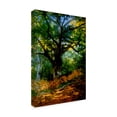 thumbnail image 3 of Trademark Fine Art Claude Monet, Bodmer Oak, Fontainebleau Forest Canvas Wall Art - 16x24, 3 of 5