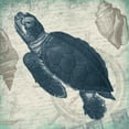 thumbnail image 2 of Grey, Jace 15x15 White Modern Wood Framed Museum Art Print Titled - Turtle, 2 of 4