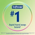 thumbnail image 3 of Softsoap Limited Edition Liquid Hand Soap, Golden Apple, 6.25 fl oz Pump Bottle, 3 of 13