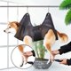 thumbnail image 2 of Hamaca para el cuidado de perros y gatos, bolsa para el cuidado de mascotas, transpirable, accesorios de baño (M), 2 of 5