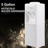 Water Cooler Dispenser 5 Gallon Normal Temperature Water And Hot Bottle Load Electric For Home Office