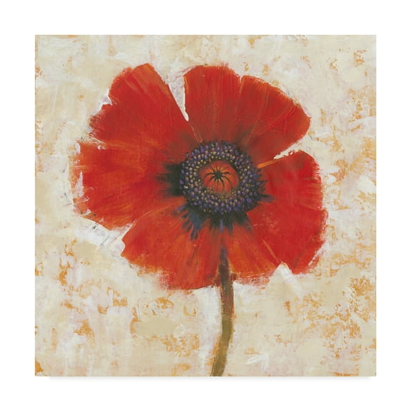 Trademark Fine Art 'Red Poppy Portrait I' Canvas Art by Tim OToole