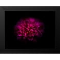 thumbnail image 2 of Carson, Brian 14x12 Black Modern Framed Museum Art Print Titled - Backyard Flowers Purple 55, 2 of 5