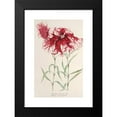 thumbnail image 2 of Charles Antoine Lemaire 13x18 Black Modern Framed Museum Art Print Titled - Dianthus Cincinnatus (1854-1896), 2 of 5