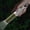 Green, variant on DELESYS White Lasers Flashlight Rechargeable Outdoor Portable LED Flashlight Mini LED Outdoor Camping Hiking Flashlight Portable Charging Lighting, 6.9*0.98*0.98IN