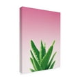 thumbnail image 2 of Trademark Fine Art 'Succulent Simplicity V Pink Ombre Crop' Canvas Art by Felicity Bradley, 2 of 3