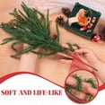 thumbnail image 3 of JEWLALO Artificial Norfolk Pine Stems for Christmas Decorations, 10 Pcs 18 inch Fake Pine Cone Branches for Vases Garland Real Touch Faux Greenery Evergreen Plants for Xmas Home Decor Indoor Winter, 3 of 10