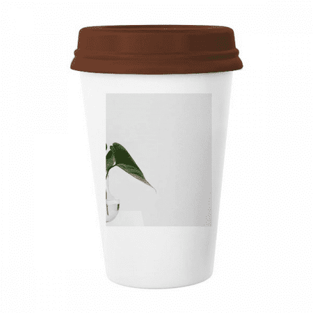 

Simpol Green Nature Photo Mug Coffee Drinking Glass Pottery Cerac Cup Lid