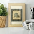 thumbnail image 6 of Mini Exotic Coral IX (U) - Framed Print w/glass - Natural Wood, 6 of 8