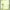 A11, variant on 39.4 x 78.7 Inch Sheer Curtains for Living Room Bedroom 2 Panels Set Rod Pocket Transparent Window Curtains for Bedroom
