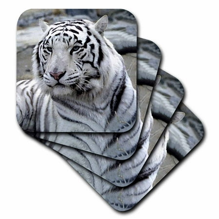 

White Tiger set of 8 Coasters - Soft cst-345-2