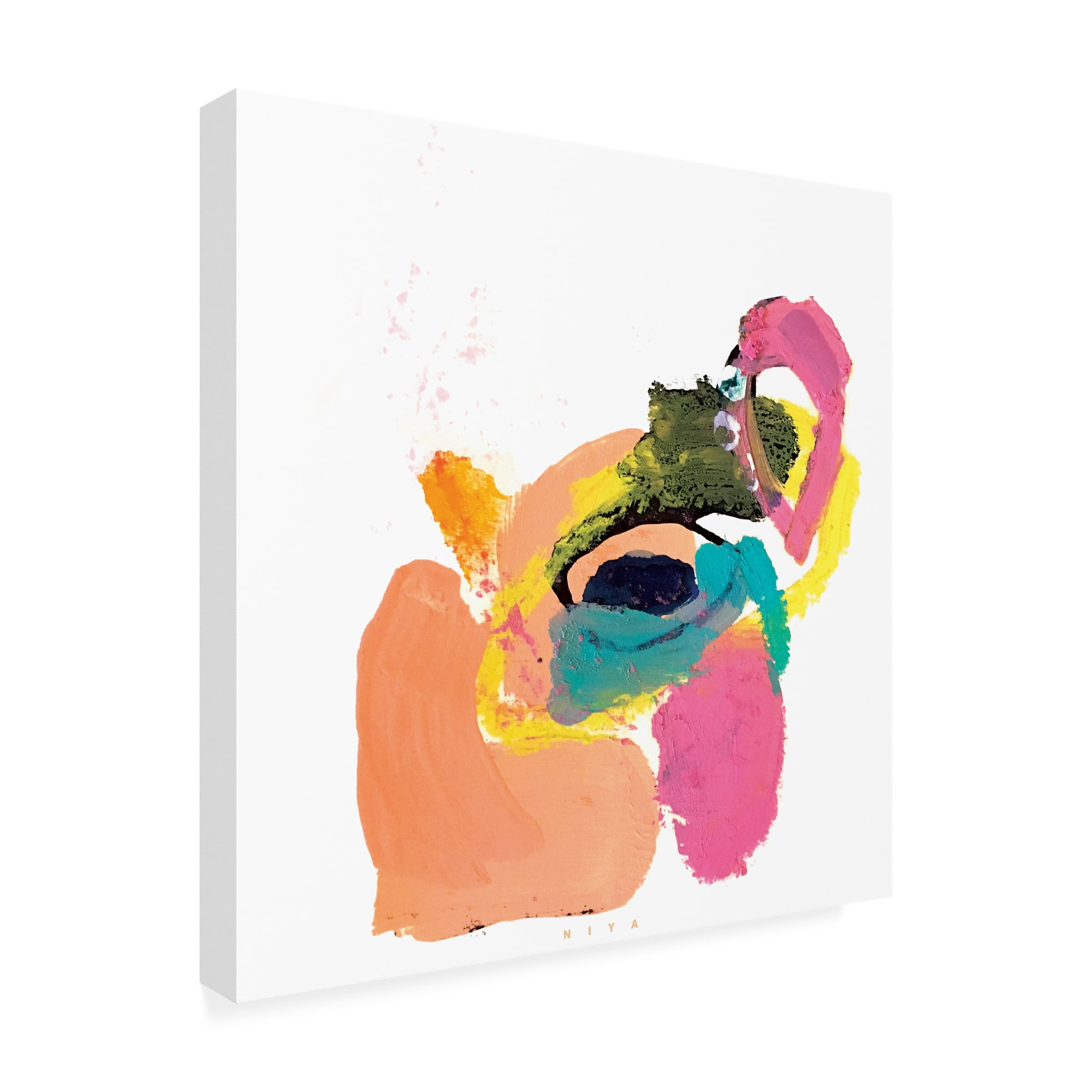 Niya Christine 'Bounce' Canvas Art