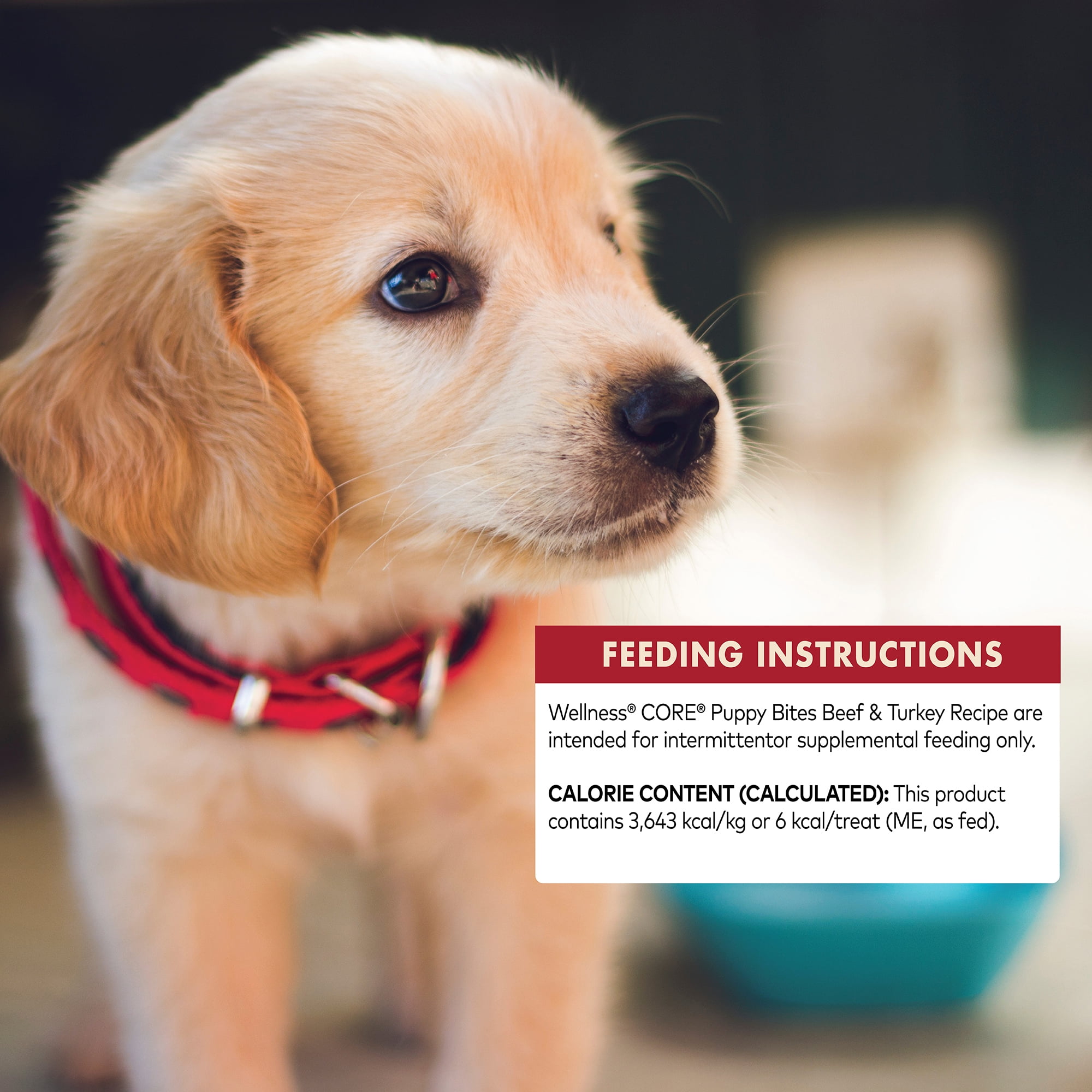 wellness core puppy bites