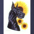 thumbnail image 3 of CafePress - C Blk Sunflower Long Sleeve Dark T Shirt - Long Sleeve Dark T-Shirt, 3 of 4