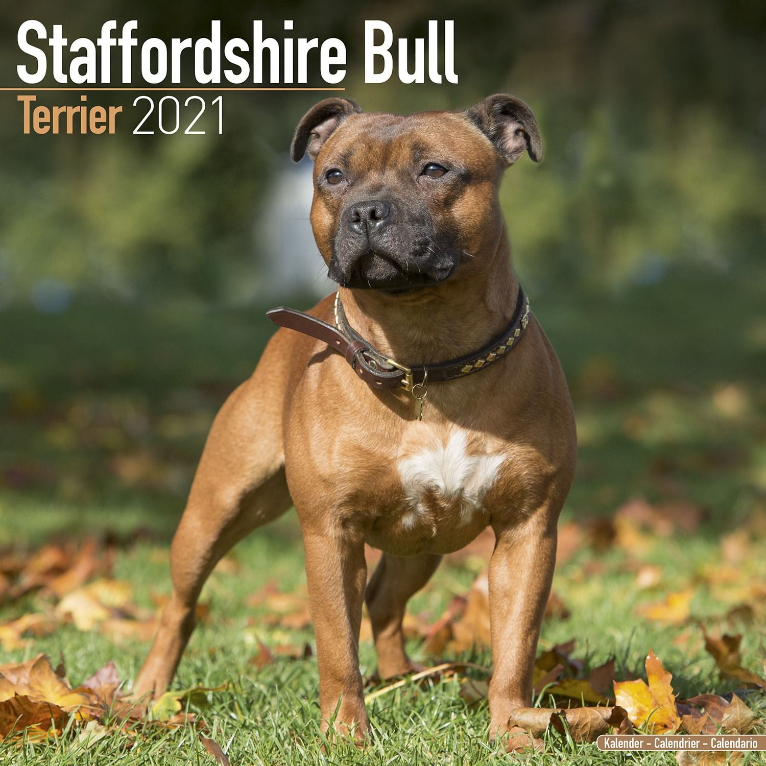 Staffordshire Bull Terrier Calendar 2021 Staffordshire Bull Terrier Dog Breed Calendar Staffordshire Bull Terriers Premium Wall Calendar 2021 Walmart Com Walmart Com bullterrier kalender 2021