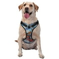 thumbnail image 1 of Lsque Cartoon Train Hot Air Balloon Pattern Dog Harness, No-Pull Pet Harness with 2 Leash Clips, Adjustable Soft Padded Dog Vest with Easy Control Handle for Large Dogs-Small, 1 of 6