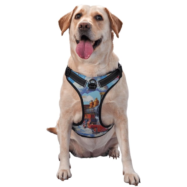 Lsque Cartoon Train Hot Air Balloon Pattern Dog Harness, No-Pull Pet Harness with 2 Leash Clips, Adjustable Soft Padded Dog Vest with Easy Control Handle for Large Dogs-Small