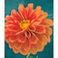 thumbnail image 3 of Greene, Taylor 20x23 Black Modern Framed Museum Art Print Titled - POPPY IN BLOOM, 3 of 5