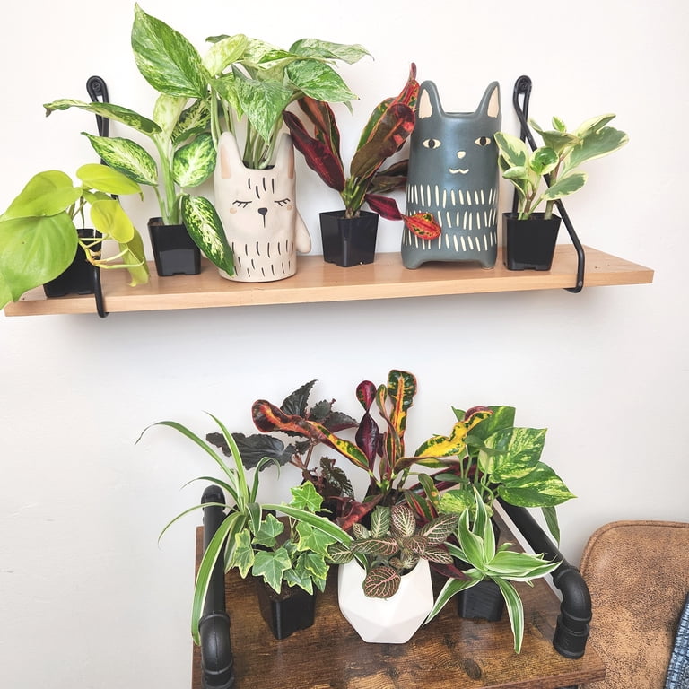giraffe plant pot Handcrafted Giraffe Planters – Ideal Gifts for Plant & Animal Enthusiasts main image 1