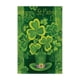 thumbnail image 2 of 2x Bandera de jardín de San Patricio Tréboles de dos cara Bandera de tréboles irlandeses para decoración de jardín y familia, 18 '' × DYNWAVEMX banderas del día de san patricio, 2 of 8