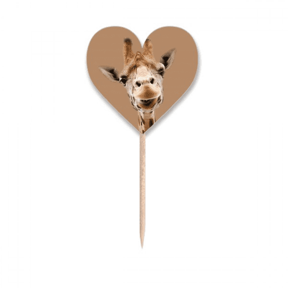 Giraffe Camera Observation Action Toothpick Flags Heart Lable Cupcake Picks