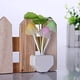 thumbnail image 4 of Luz nocturna LED con forma de hoja y control automático de luz, con centro que cambia de color y laterales en blanco cálido | Enchufe estadounidense | Ahorro de energía de 0,5 W para dormitorio,, 4 of 9