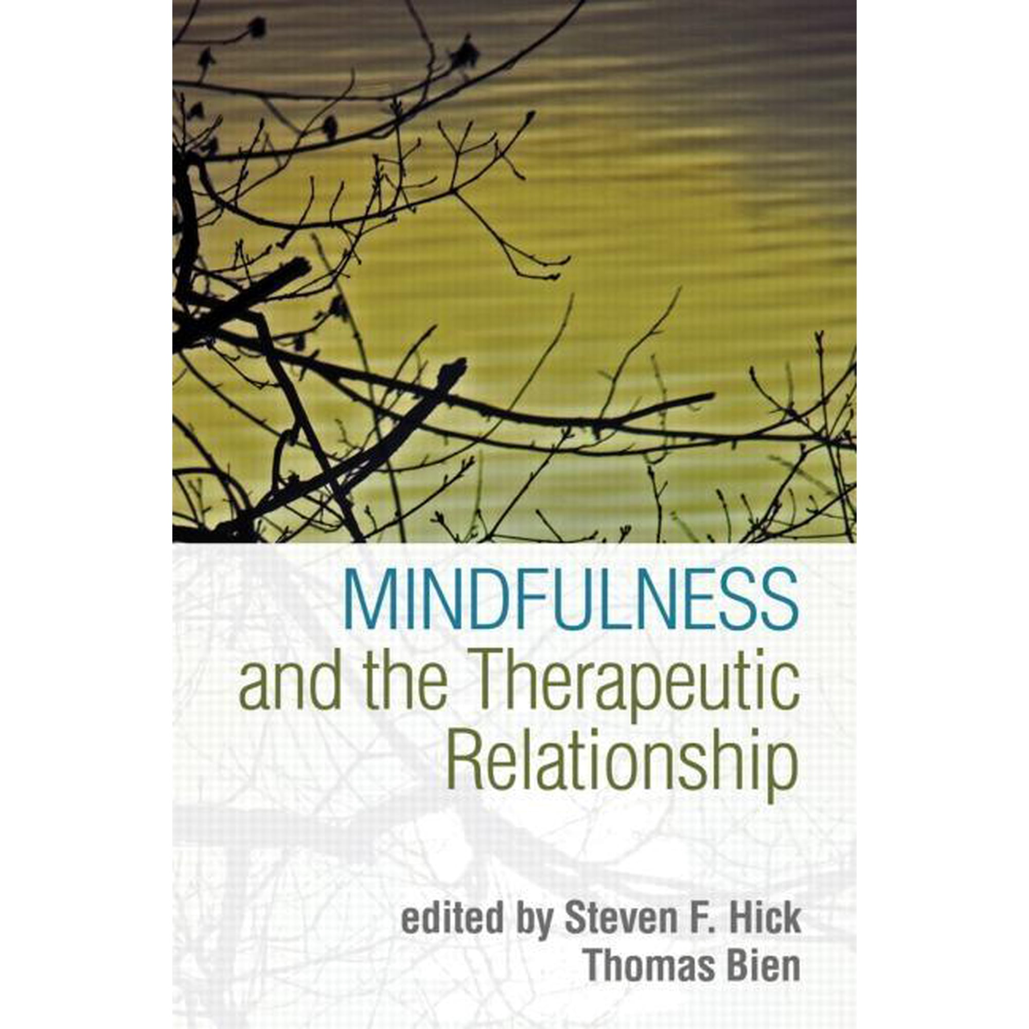 Mindfulness and the Therapeutic Relationship (Paperback)