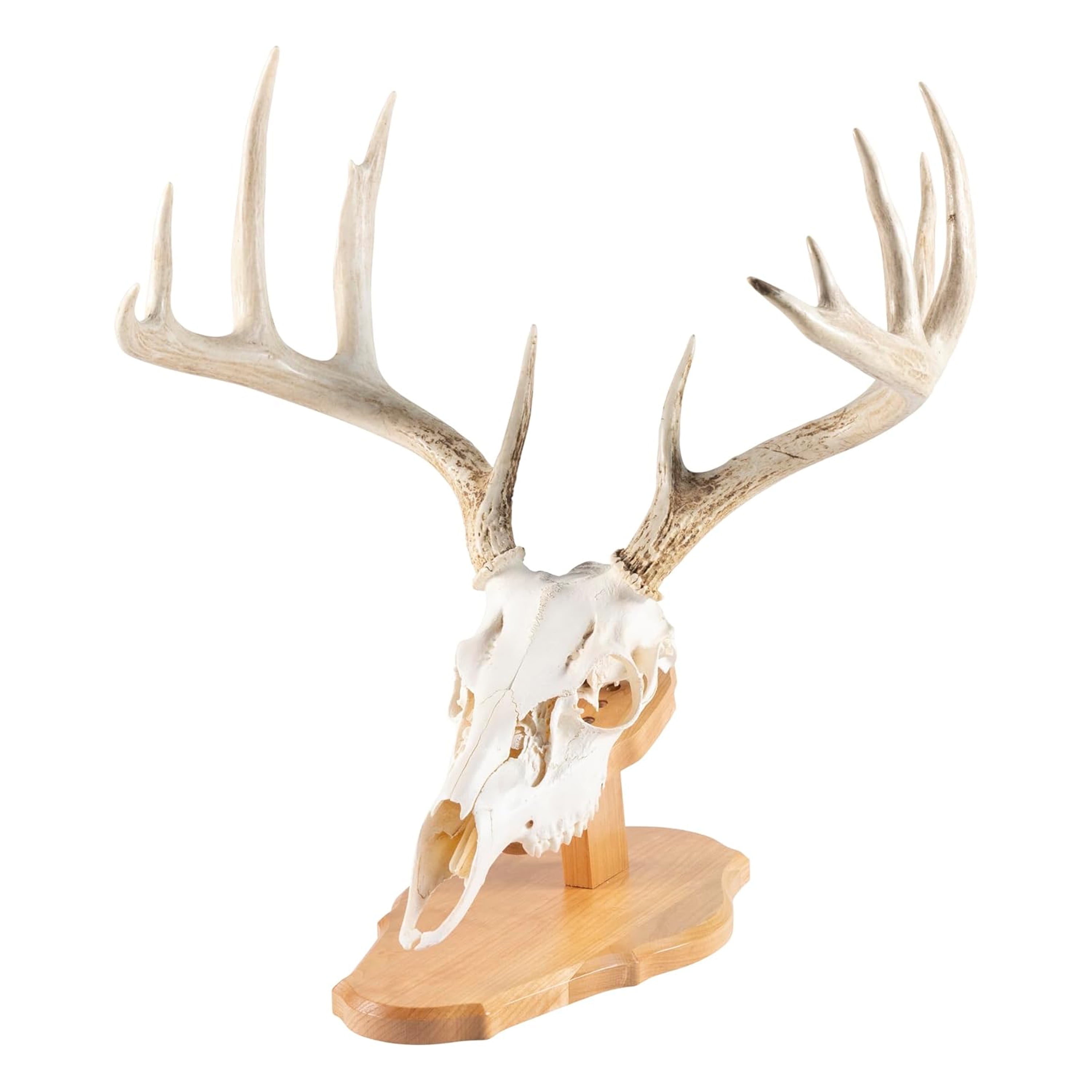 Free Shipping! Do All Outdoors Strutt-N-Skull - Walmart.com