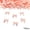 Daifen, variant on 100 Pack Mini Satin Ribbon Bows, Pre-Tied Craft Embellishments for Scrapbooking Gift Wrapping, 0.98 Inch Small Decorative Accents