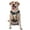 With Accessories, variant on Vsdgher Vintage Starry Sky Labrador Pattern Dog Harness,No Pull Pet Harness with Soft Padded Handle,Adjustable Reflective Vest with 2 Buckles,4 Slide Buckles,S-XL Medium